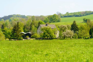 Bahar kırsalında güneşli bir günde yeşil çayırlar ve ağaçlarla