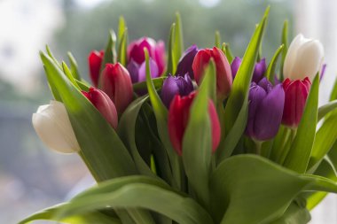 Masada bir buket çok renkli lale var. Bahar neşesi, kutlama ve tazelik kavramı.