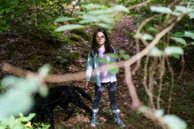 Küçük tatlı bir kız yoğun bir yaz ormanında köpeğiyle yürüyor. Evcil hayvanı ve doğası olan bir çocuğun birliği kavramı..