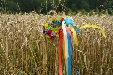 Traditional Ukrainian national wreath on ripe ears of wheat. Concept of Ukrainian tragedy clipart