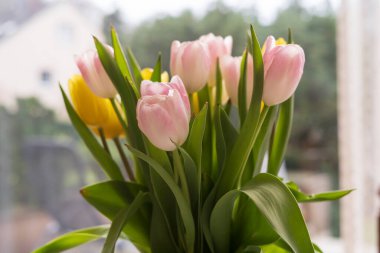 Masada bir buket çok renkli lale var. Bahar neşesi, kutlama ve tazelik kavramı.