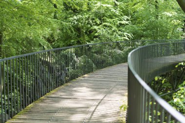 Curved metal-wood pedestrian bridge. Beautiful architectural forms clipart