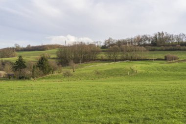 Kuzey Ren Vestfalya 'daki Alman kırsalının panoramik manzara fotoğrafı. Tepeler, Sauerland ormanları ve tarlaları
