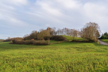 Kuzey Ren Vestfalya 'daki Alman kırsalının panoramik manzara fotoğrafı. Tepeler, Sauerland ormanları ve tarlaları