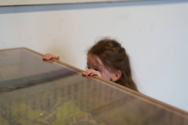 Müzedeki küçük şirin kız müzede sergi bakıyor. Meraklı faal çocuğun eğitici kavramı