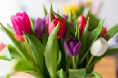 Büyük bir pencerenin arka planında renkli lalelerden oluşan bir buket. Şenlikli bahar konsepti