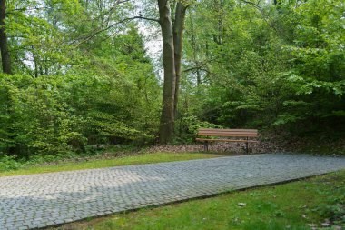 Yaz parkında ıssız bir bank. İnsanlar ve doğa arasındaki uyum kavramı.