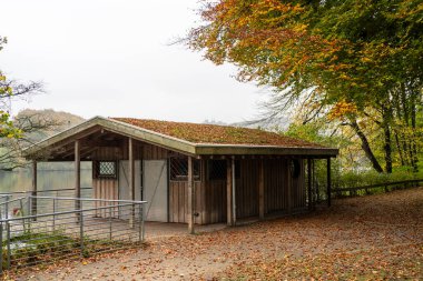 Sonbaharda göl kıyısında küçük bir kulübe var. Arka planda büyük bir köprü var..