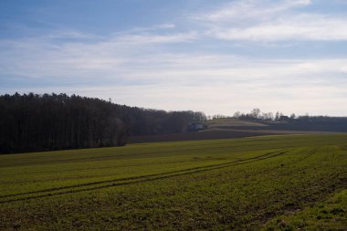 A large spring field with trees and a house in the distance. A blue sky above a field of trees