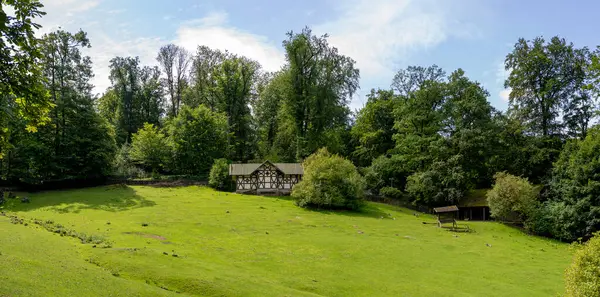 Yaz ormanında yeşil bir çayırda yarı keresteli küçük bir kulübe. Yabani hayvanlar çevrede otlar.