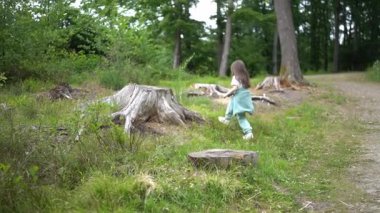 Yaşlı bir ağaç kütüğünün yanında oynayan küçük bir kızın yavaş çekim videosu. Doğada çocukluk kavramı