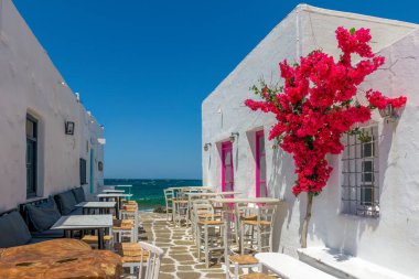 Yunanistan 'ın Naousa Paros adasında yaz mevsiminde denizin dışında bir barın dış görünüşüne sahip geleneksel Kiklad manzarası