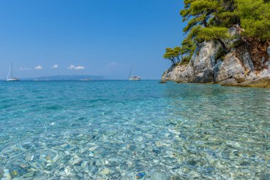 The famous crystal clear turquoise waters of Kastani beach where the famous Mamma Mia movie was filmed, located in Skopelos island, Sporades, Greece