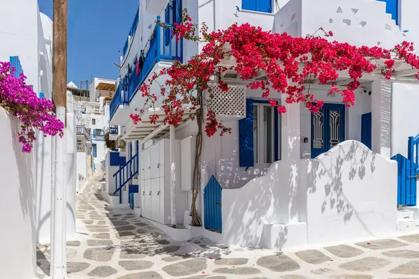 Traditional Cycladitic Alley Narrow Street Full Blooming Bougainvillea Mykonos Island — Stock Photo, Image