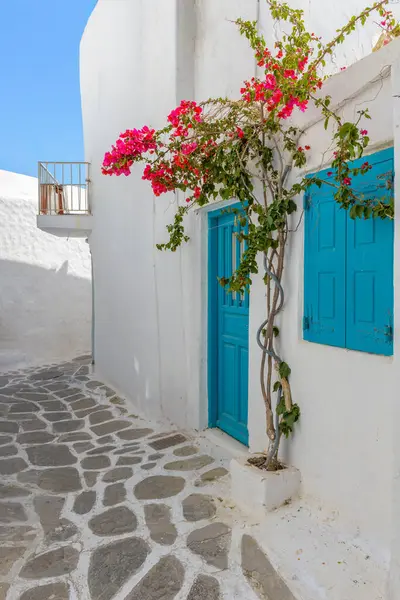 Traditional Cycladitic Alley Narrow Street Blooming Bougainvillea Mykonos Island Cyclades — Stock Photo, Image