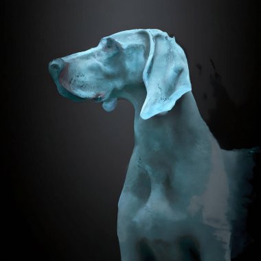 Weimaraner köpeğinin dijital illüstrasyonu