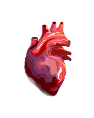 Mermer boya efektli renkli bir insan kalbinin el çizimi ya da çizimi