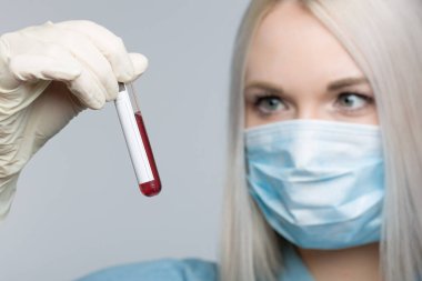 Tıbbi maske takan genç bir kadın ve tıbbi eldiven gri bir arkaplan önünde bir kan sondasını tutuyor.