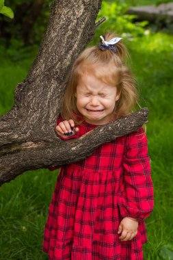 Küçük bir kız, yeşil çimenlikteki bir ağacın yanında kırmızı kareli bir elbise içinde ağlıyor.