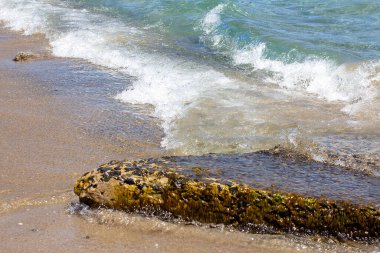 Deniz yosunlu taş güneşli bir günde sörf yapıyor.