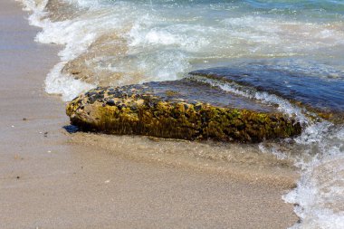 Deniz yosunlu taş güneşli bir günde sörf yapıyor.