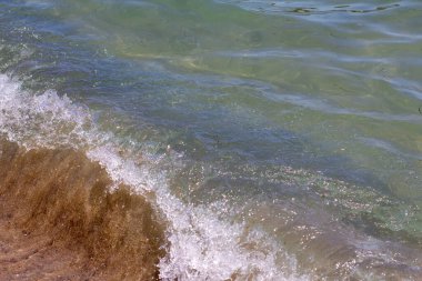 Güneşli bir günde deniz kıyısında dalgalar sörf yapar.