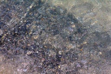 Güneşli bir günde dalgalar deniz kıyısında deniz kabuklarıyla sörf yapar.