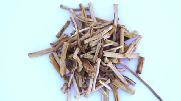 Ashwagandha Dry Root Medicinal Herb Fresh Leaves Withania Somnifera Ashwagandha — 비디오