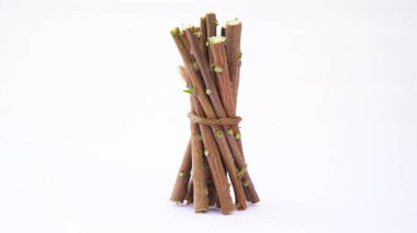 Neem çubuklu meyve ve beyaz arka planda izole edilmiş neem yaprağı. Neem mükemmel bir nemlendiricidir ve böcek öldürücü ve tıbbi özellikleri olan çeşitli bileşikler içerir..