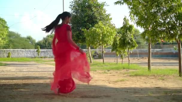 美しいインドの女の子の肖像画 ヒンドゥーの若い女性モデル 伝統的なインドのコスチュームナヴァラトリ 緑の背景の若い美しいインドの女の子 ゴーホーマーダンス — ストック動画