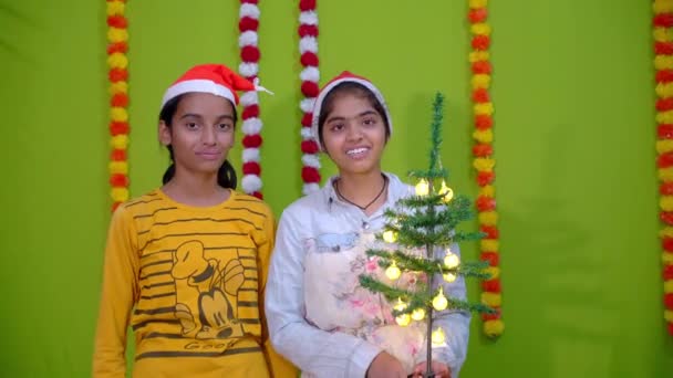 Dua Teman Atau Suster Dengan Topi Natal Dan Pohon Merayakan — Stok Video