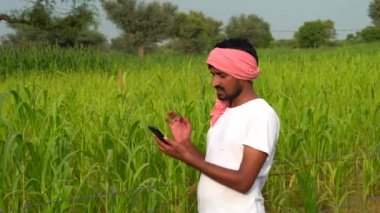 Genç mutlu Hintli çiftçi akıllı telefon kullanarak tarım yeşil tarlasında, internet bankacılığı, 5G ağ teknolojisi konsepti, geleneksel kurta kıyafeti giyen erkek.