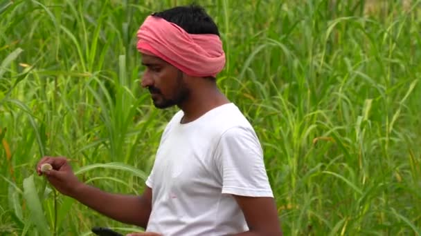 Joven Trabajador Campesino Indio Feliz Usando Teléfono Inteligente Mientras Está — Vídeos de Stock