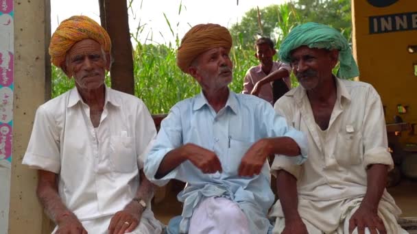 一緒に集まっている高齢者の友人たち ハッピーシニアの人々は 村のためにいくつかの重要なトピックを一緒に話しています インド ラジャスターン シカール — ストック動画