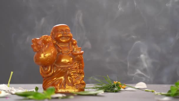 Statue Auf Grauem Rauch Hintergrund — Stockvideo