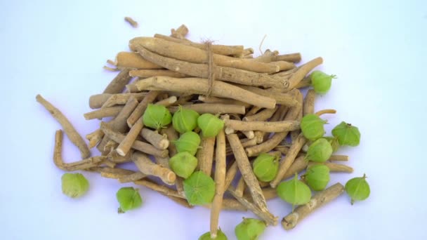 Withania Somnifera Plant Known Ashwagandha Indian Ginseng Herbs Poison Gooseberry — Vídeo de stock