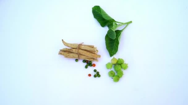 Withania Somnifera Plant Known Ashwagandha Indian Ginseng Herbs Poison Gooseberry — Stock videók