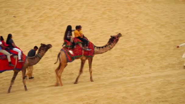 Джайсалмер Раджастхан Індія Листопад 2022 Року Верблюдова Їзда Sam Sand — стокове відео