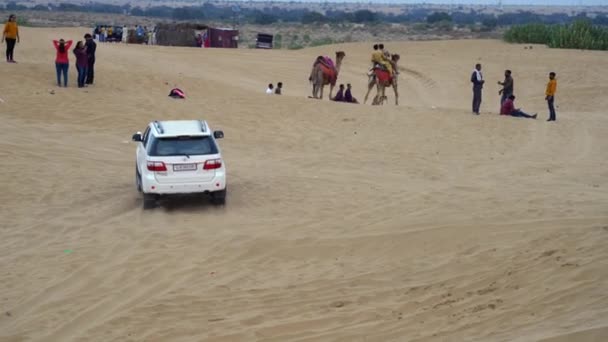 Desert Jeep Safari Písečných Dunách Jeep Safari Poušti Thar Stal — Stock video