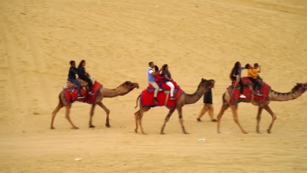 Jaisalmer Rajasthan India Nov 2022 Kameel Rijden Sam Sand Dune — Stockvideo