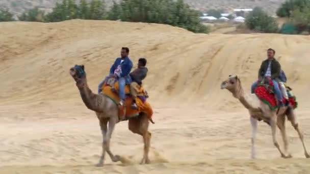 Jaisalmer Rajasthan Inde Nov 2022 Randonnée Dos Chameau Sam Sand — Video