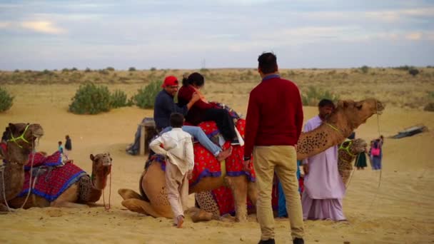 자이살머 라자스탄 2022년 11월 Sam Sand Dune에서 낙타를 활동은 관광객을 — 비디오