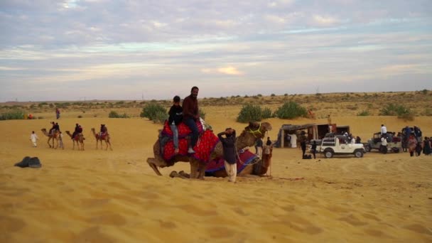 ジャイサルマー ラジャスタン インド Nov 2022 サンド デューンでのカメルライディング 活動は 国内外の観光客を引き付けるために冬に開催される砂漠フェスティバルの一部です — ストック動画