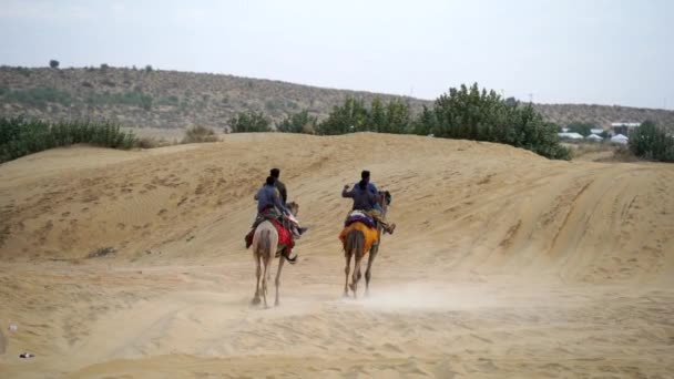 자이살머 라자스탄 2022년 11월 Sam Sand Dune에서 낙타를 활동은 관광객을 — 비디오