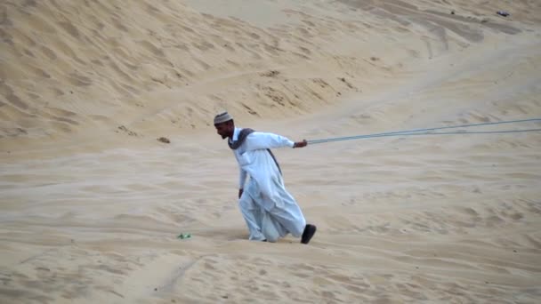Звичайний День Дюнах Верблюд Бедуїн Їде Верблюдом Через Піщану Пустелю — стокове відео