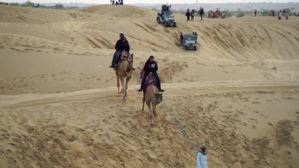 Jaisalmer Rajasthan Indie Listopad 2022 Wielbłąd Sam Sand Dune Aktywność — Wideo stockowe