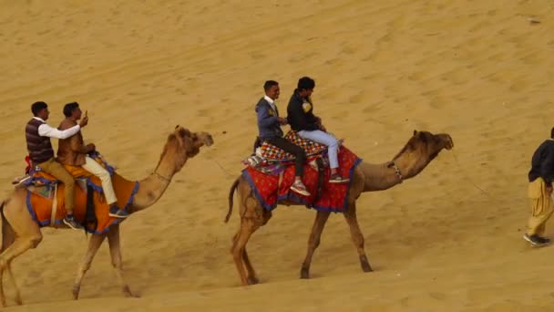 ジャイサルマー ラジャスタン インド Nov 2022 サンド デューンでのカメルライディング 活動は 国内外の観光客を引き付けるために冬に開催される砂漠フェスティバルの一部です — ストック動画