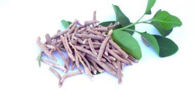 Ashwagandha Kuru Kök Şifalı Bitki ve Taze Yapraklar, Withania Somnifera, Ashwagandha, Indian Ginseng, Poison Gooseberry, veya Winter Cherry olarak da bilinir..