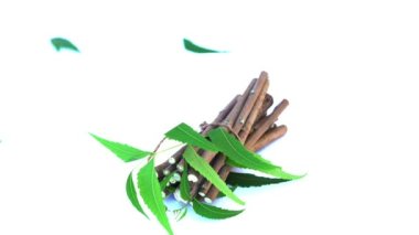 Neem mükemmel bir nemlendiricidir ve böcek öldürücü ve tıbbi özellikleri olan çeşitli bileşikler içerir. Azadirachta indica - Neem ağacı yapraklarının bir dalı. Doğal tıp, Neem ağacı, doğal tıp.