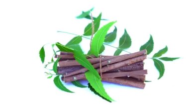 Neem mükemmel bir nemlendiricidir ve böcek öldürücü ve tıbbi özellikleri olan çeşitli bileşikler içerir. Azadirachta indica - Neem ağacı yapraklarının bir dalı. Doğal tıp, Neem ağacı, doğal tıp.